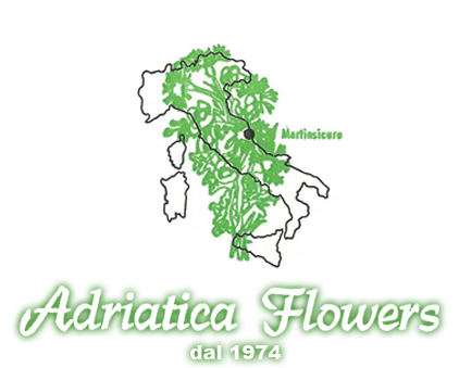 Adriatica Flowers Ingrosso Piante e fiori, realizzazione giardini Teramo