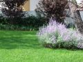 Giardini