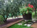 Giardini
