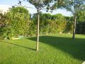Giardini