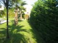 Giardini