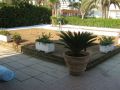 Giardini