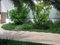 Giardini