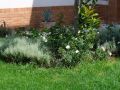 Giardini