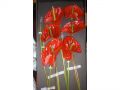Ingrosso fiori