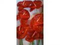 Ingrosso fiori
