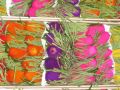 Ingrosso fiori