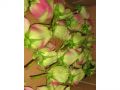 Ingrosso fiori