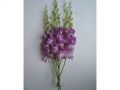 Ingrosso fiori