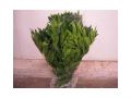 Ingrosso fiori