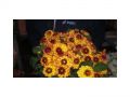 Ingrosso fiori