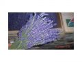 Ingrosso fiori