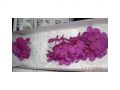 Ingrosso fiori