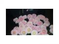 Ingrosso fiori
