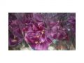 Ingrosso fiori
